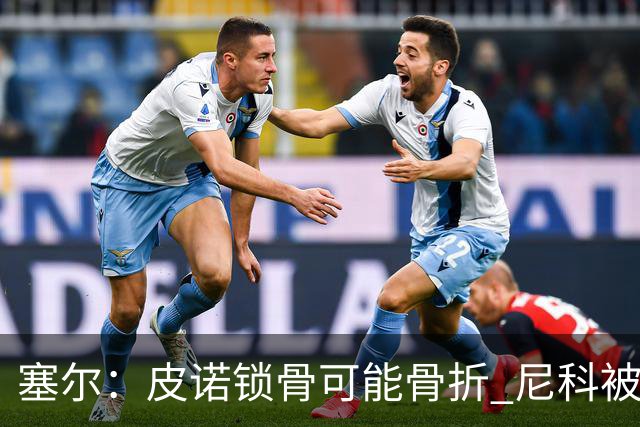 塞尔：皮诺锁骨可能骨折 尼科被铲伤可能提前结束世界杯之旅