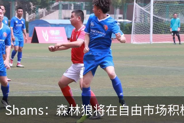 Shams：森林狼将在自由市场积极补强4号位 但他们只能提供底薪